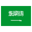 العربية flag